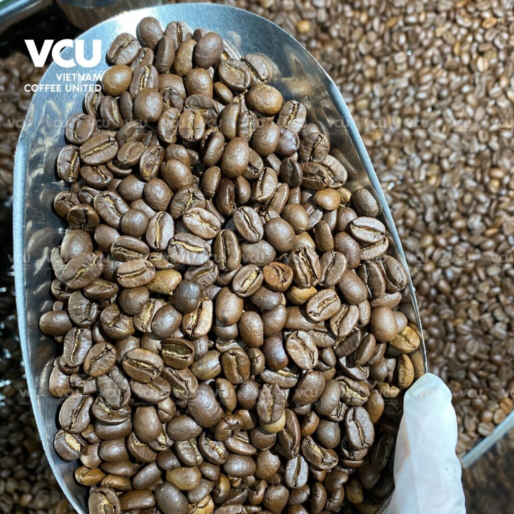 Roasted Arabica Cau Dat 