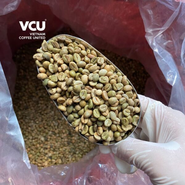 Unwashed Robusta Clean - VCU - VietNam Coffee United