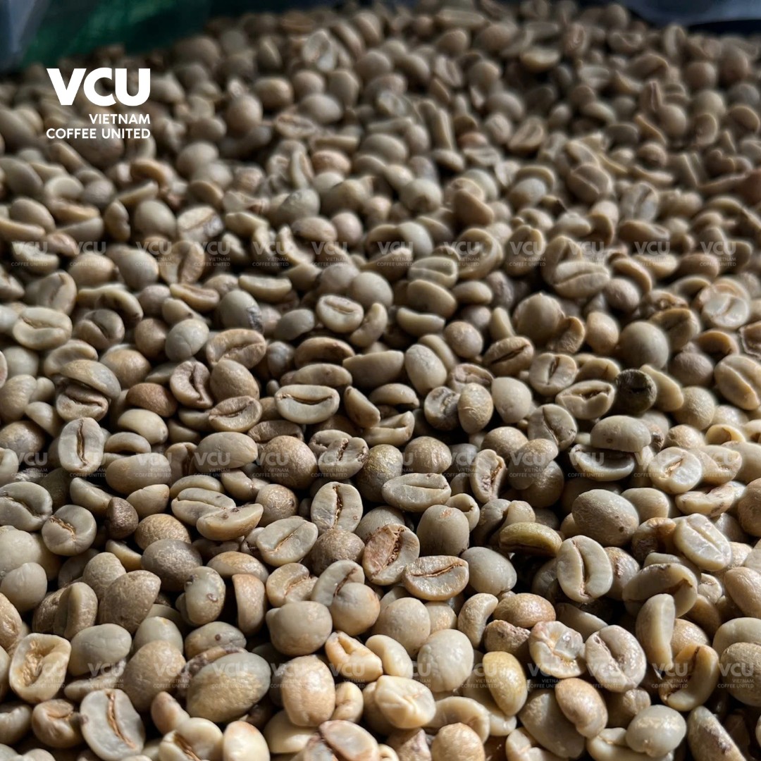 Arabica Specialty Vietnam Coffee