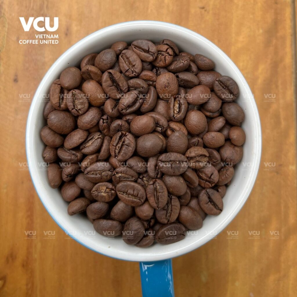 Roasted Fine Robusta Vietnam