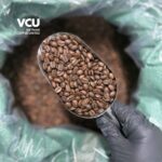 Roasted Arabica Son La