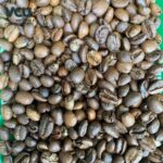 Roasted Excelsa Clean Coffee