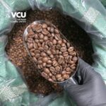 Roasted Fine Robusta