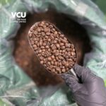 Roasted Natural Robusta