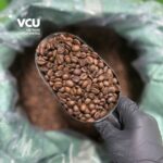 Roasted Robusta Honey
