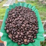 Roasted Robusta Natural Coffee Beans