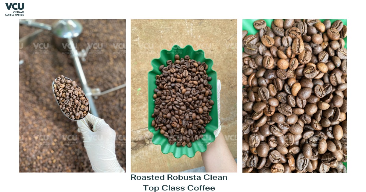 Roasted Robusta Clean top class