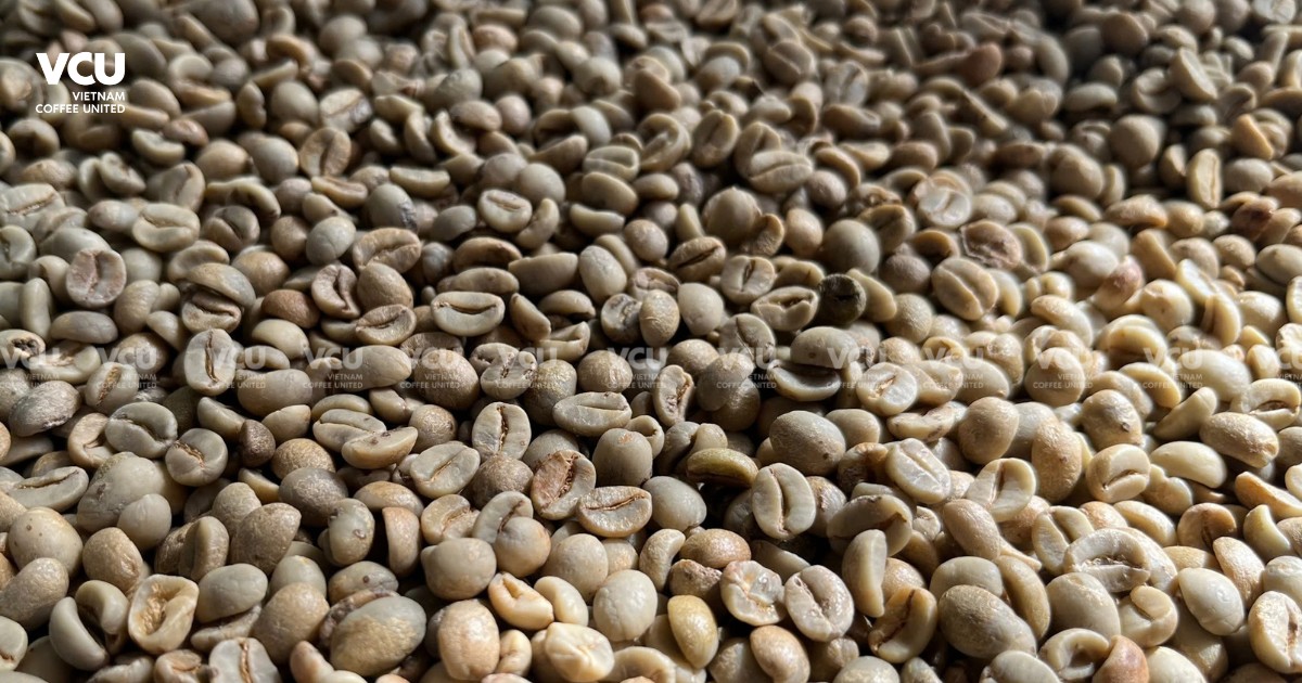 Specialty Arabica Coffee