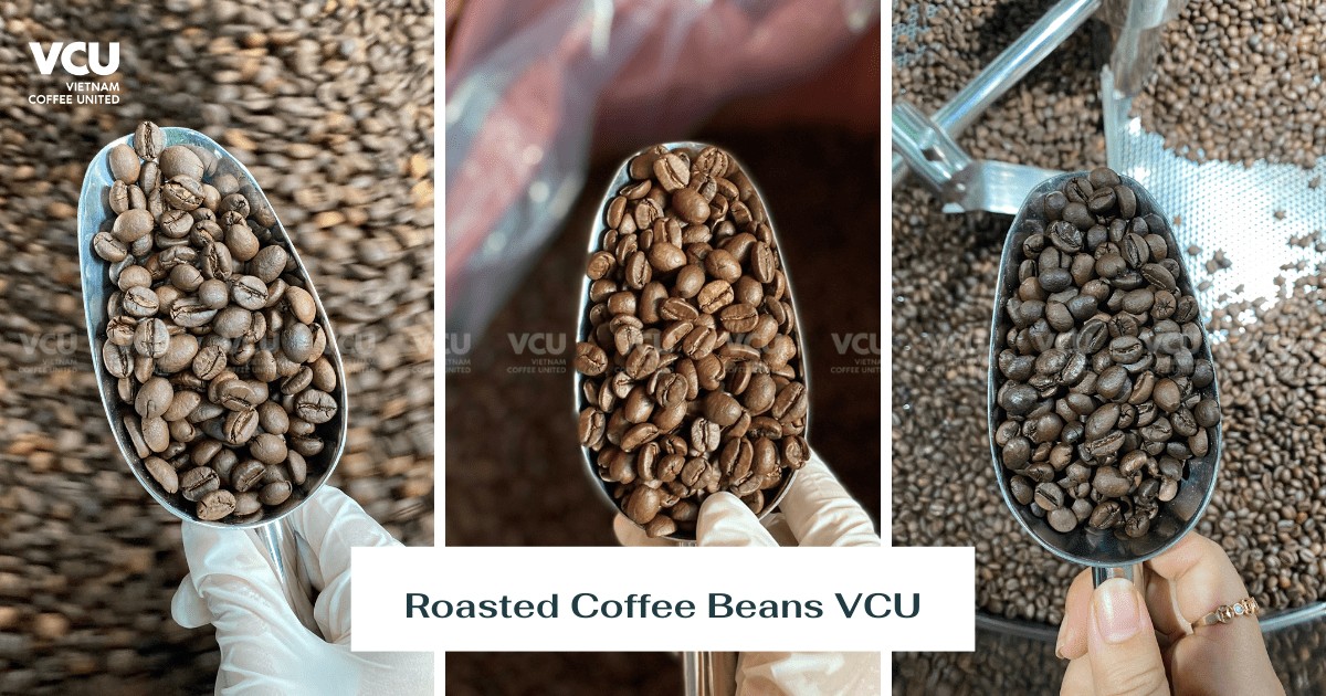 Roasted Coffee Beans