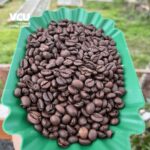 Roasted Robusta Natural