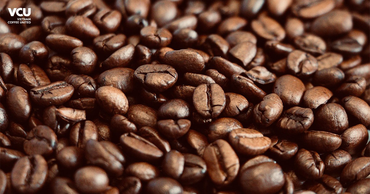 Roasted Coffee Beans