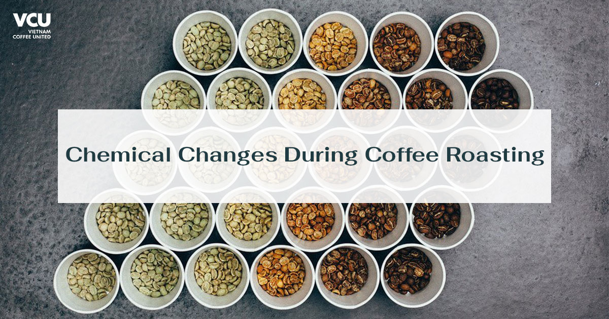 Chemical Changes During Coffee Roasting