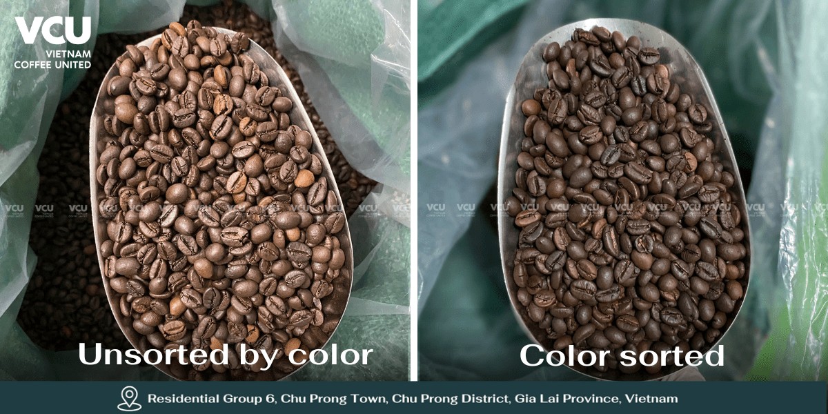 Roasted Coffee beans