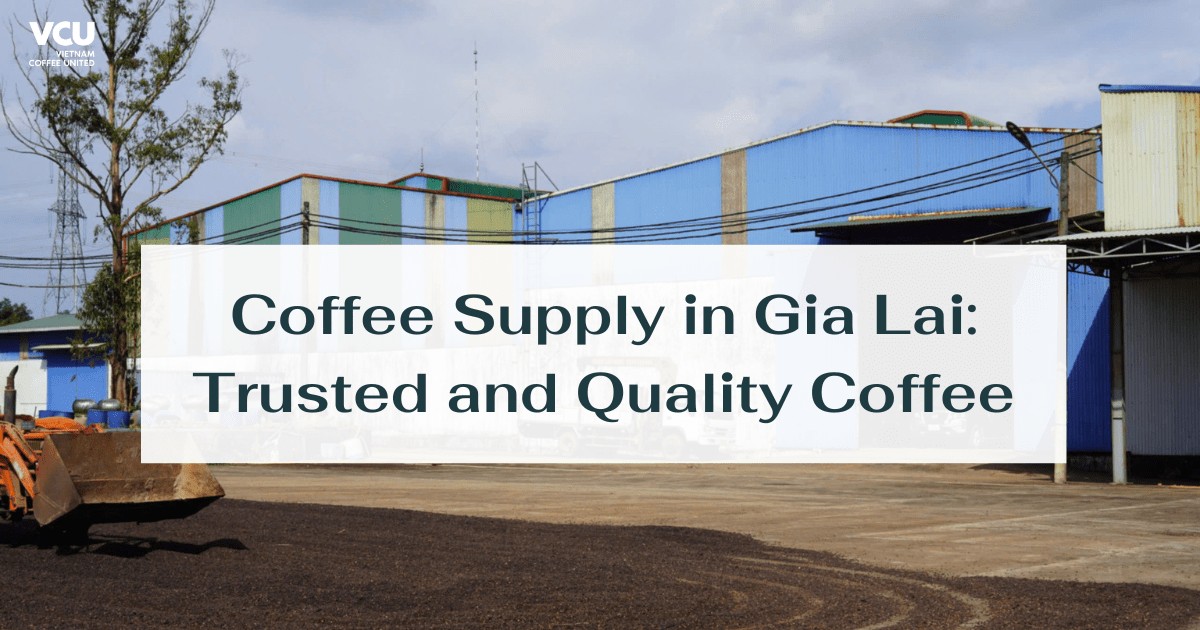 Coffee Supply in Gia Lai