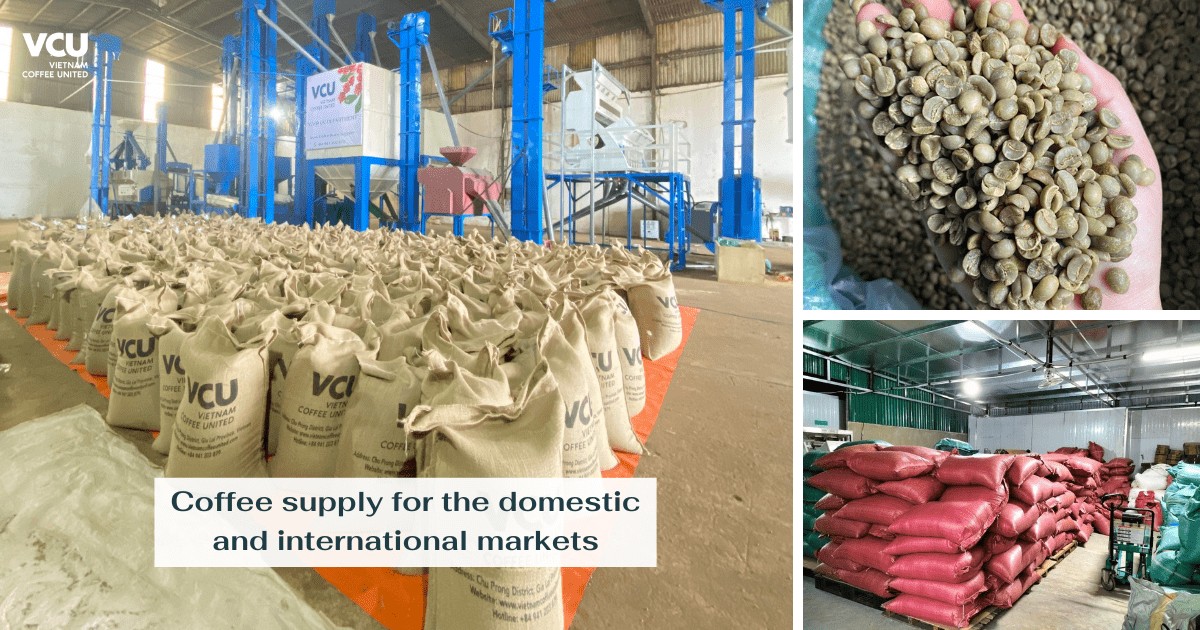 Coffee supply for the domestic and international markets