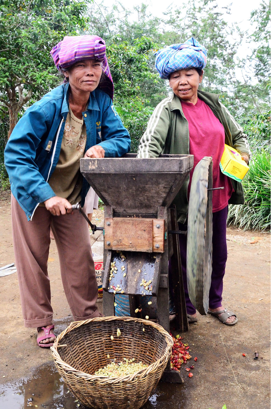 honey processing invcu