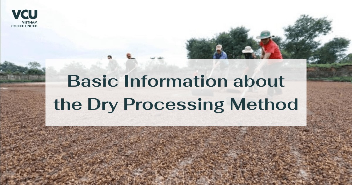 dry processing method 1