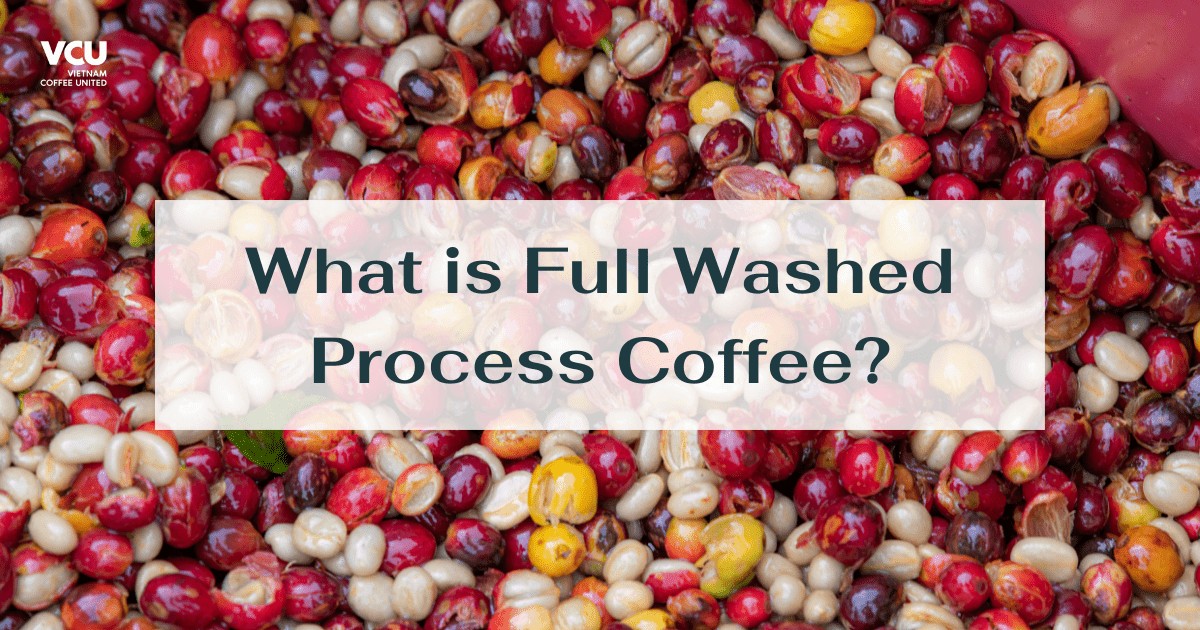 full washed process coffee 1