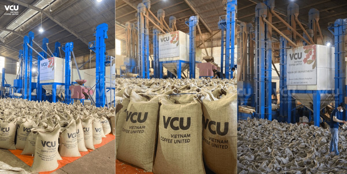 VCU Green Coffee Processing Factory
