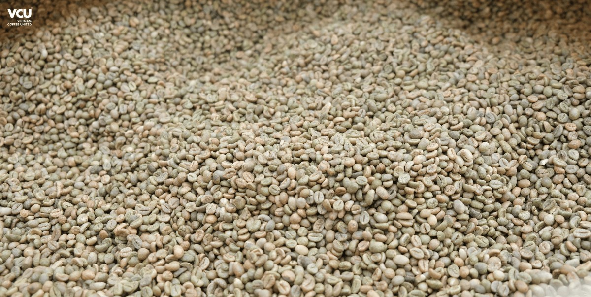 Green Coffee Bean Quality
