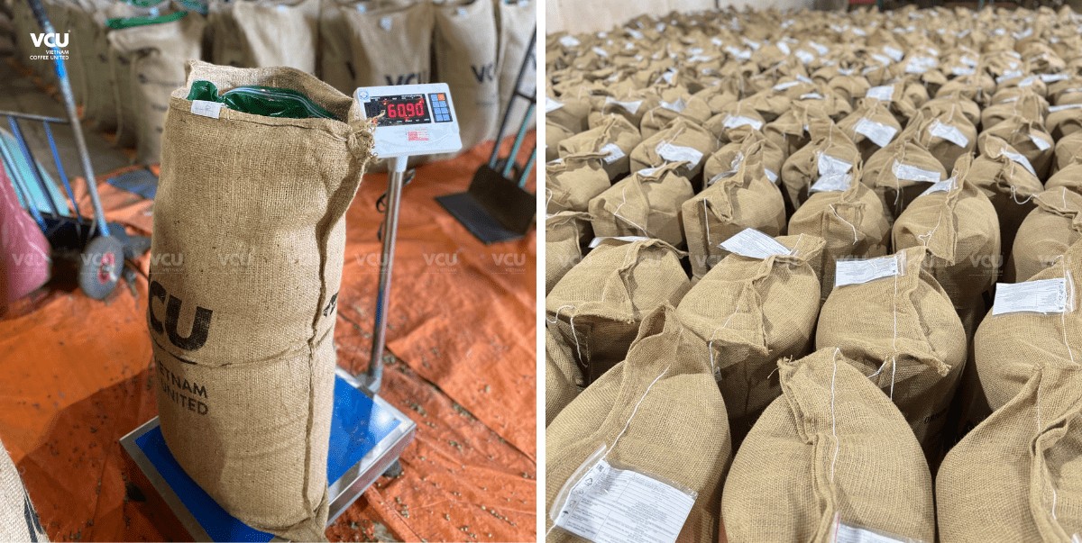 VCU – Trusted Sources of Green Coffee Beans in Vietnam