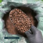 Robusta Honey