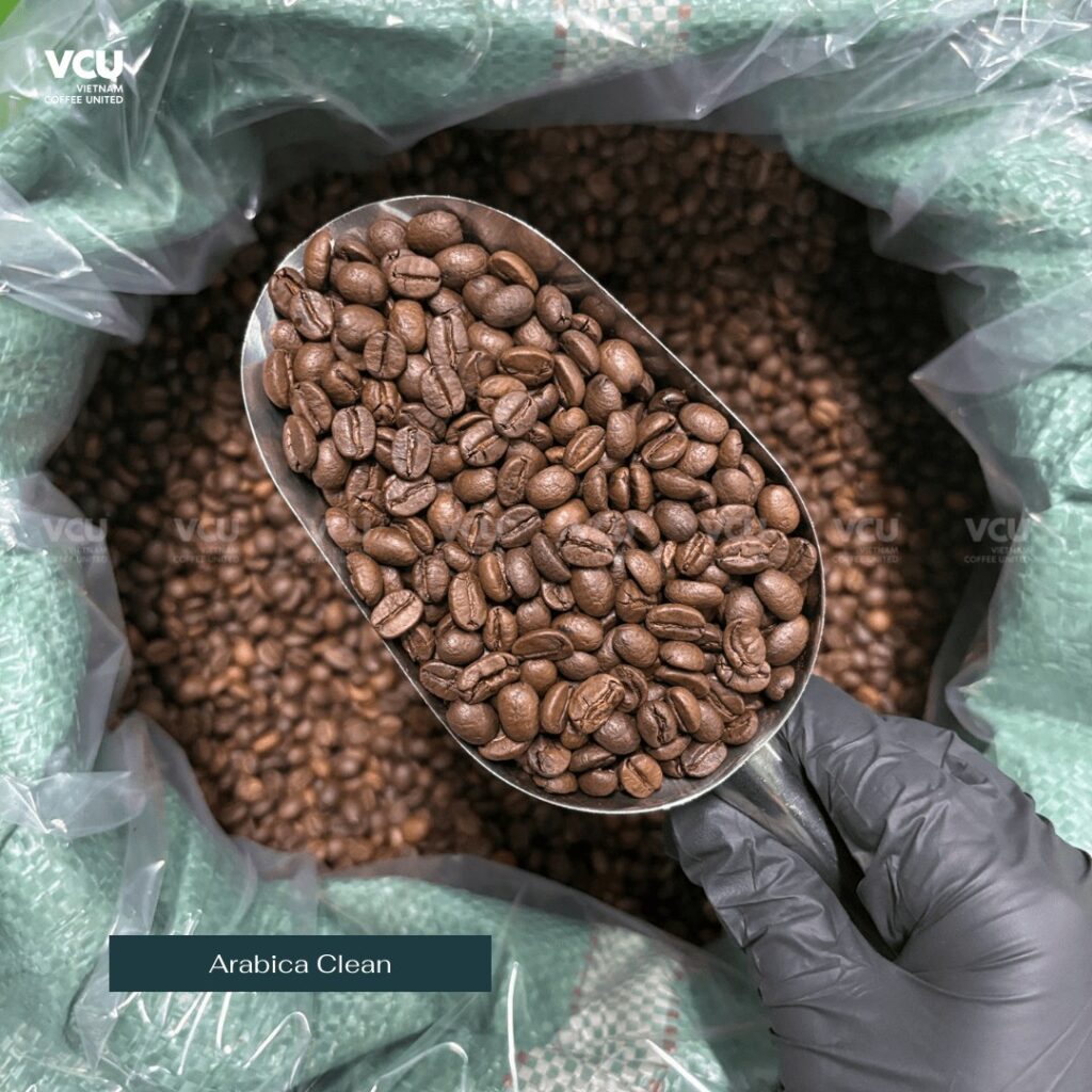 Arabica Clean
