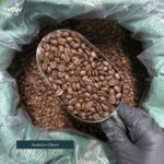 Arabica Clean