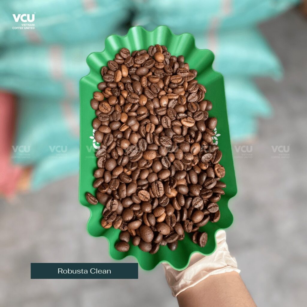 Robusta Clean