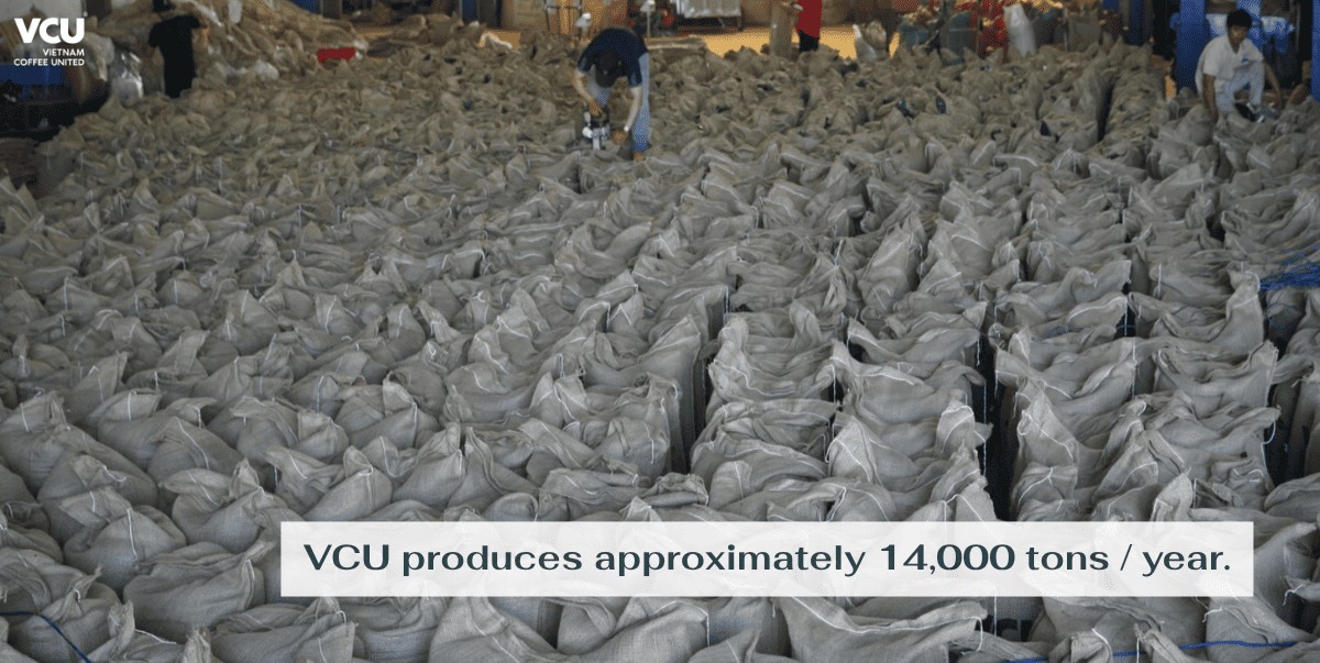 Vietnam Robusta Coffee Supplier