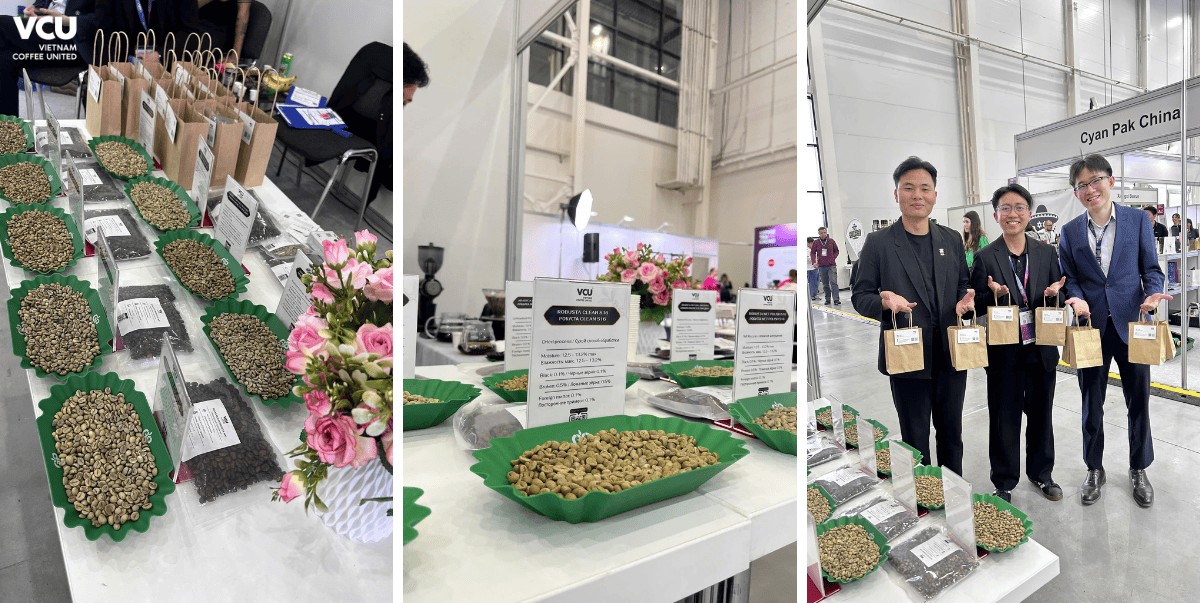 VCU green coffee beans on display at CTCRE 2026