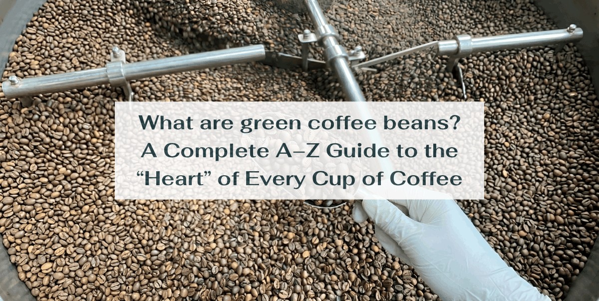What are green coffee beans