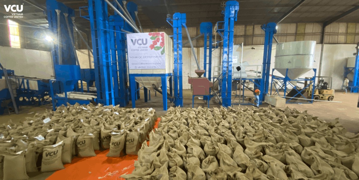 VCU JSC - Top 5 reputable coffee export companies in Vietnam