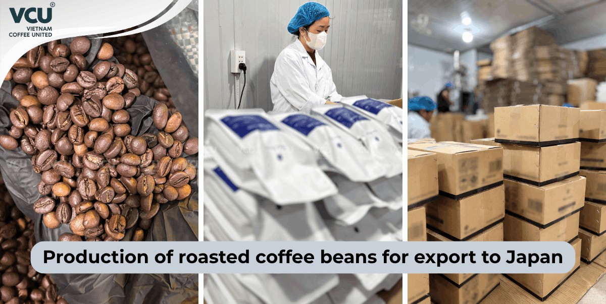 Production of roasted coffee beans for export to Japan
